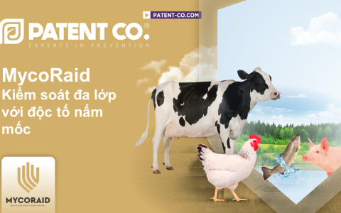 MYCORAID - KIỂM SOÁT ĐA LỚP VỚI ĐỘC TỐ NẤM MỐC